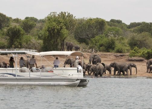 8 Days Rwandan -Uganda Gorilla and Wildlife Safari