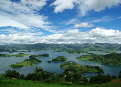 5 Days – Bwindi, Lake Bunyonyi and Queen Elizabeth
